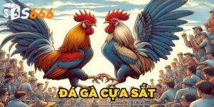 Đá Gà Cựa Sắt S666| Bí Quyết Chinh Phục Mọi Sàn Đấu 2025