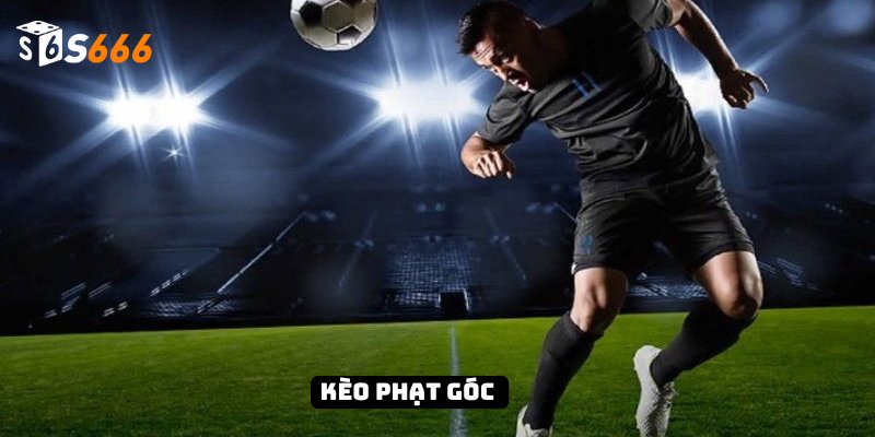 Kèo Phạt Góc Và Bí Quyết Chiến Thắng Từ Chuyên Gia 1 Kèo Phạt Góc Và Bí Quyết Chiến Thắng Từ Chuyên Gia