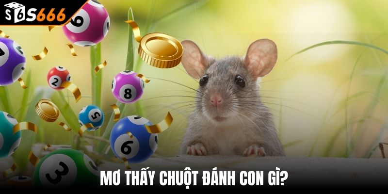 Mơ Thấy Chuột Đánh Con Gì - Giải Mã Giấc Mơ Thấy Chuột 1 Mơ Thấy Chuột Đánh Con Gì - Tập Hợp Số Đánh Thắng Chắc